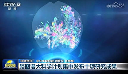 【新聞聯播】腦圖譜大科學計劃集中發布十項研究成果
